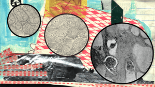 Three magnified views of cellular structures overlay a vibrant, abstract collage background.